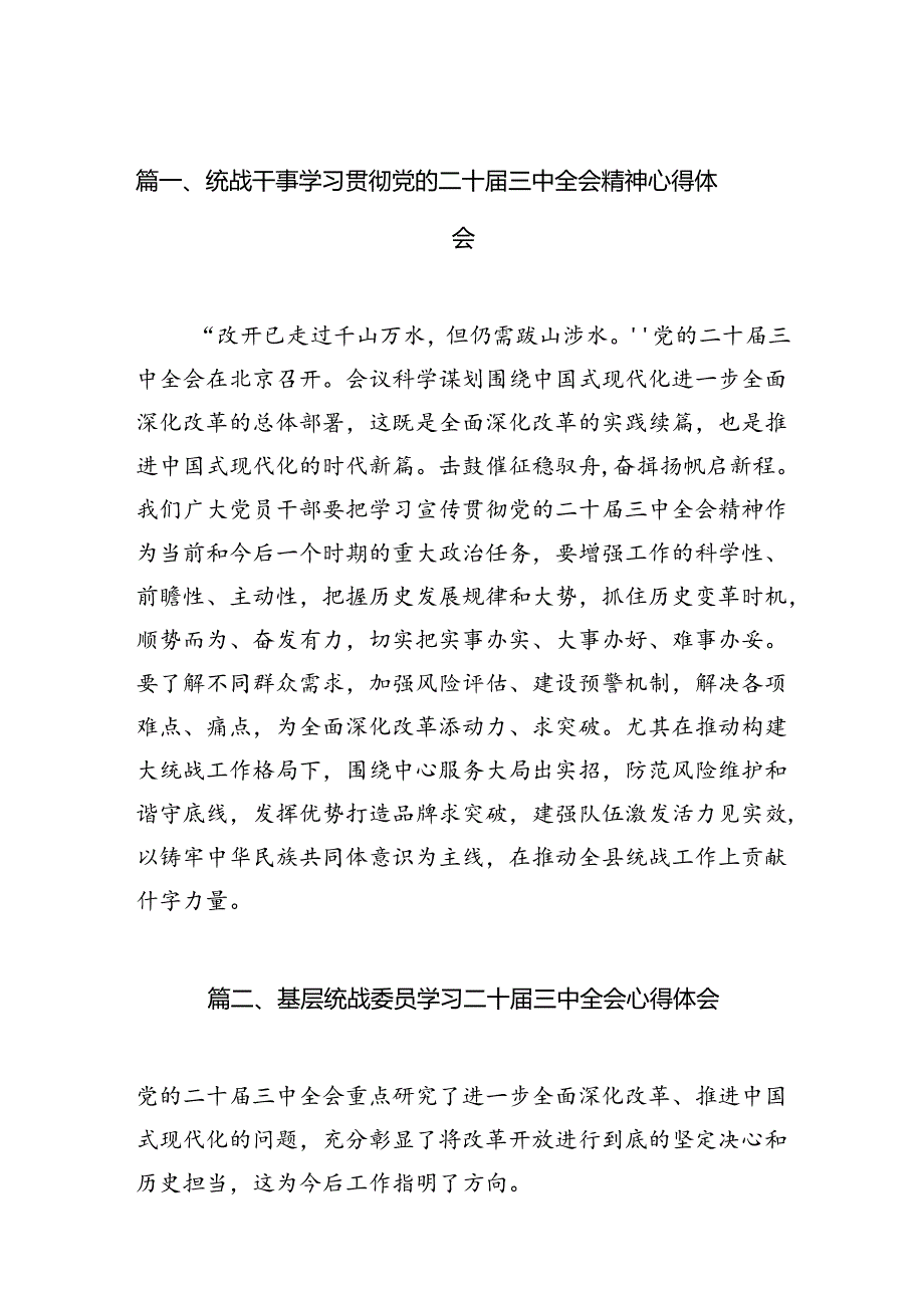 统战干事学习贯彻党的二十三中全会精神心得体会（共7篇）.docx_第2页