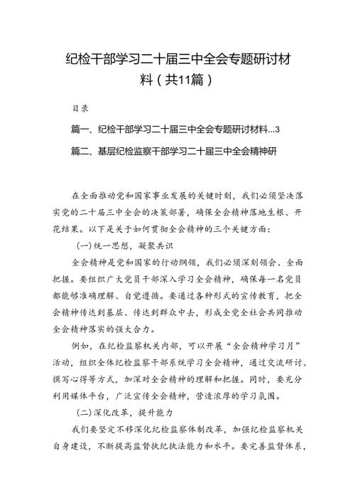 （11篇）纪检干部学习二十三中全会专题研讨材料（详细版）.docx