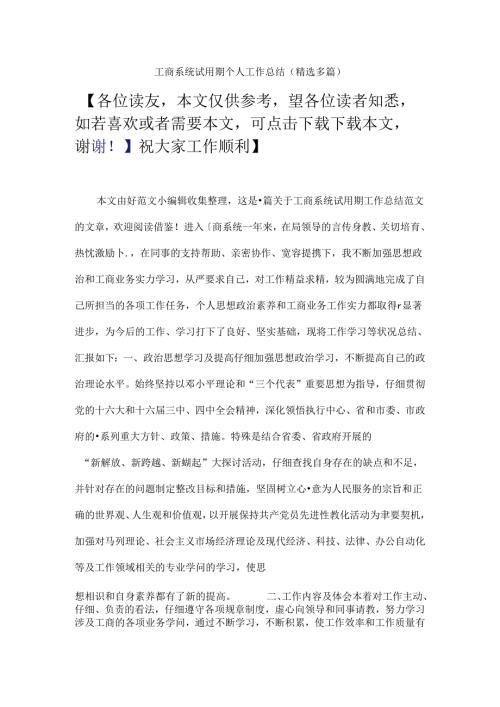 工商系统试用期个人工作总结.docx