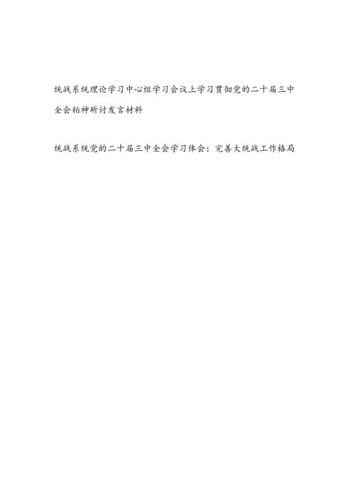统战部系统理论学习贯彻党的二十三中全会精神研讨发言材料心得体会2篇（含理论学习中心组）.docx