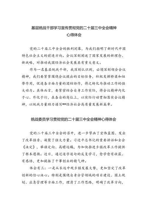 基层统战干部学习宣传贯彻党的二十三中全会精神心得体会5篇（精选版）.docx