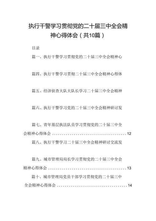 （10篇）执行干警学习贯彻党的二十三中全会精神心得体会（最新版）.docx