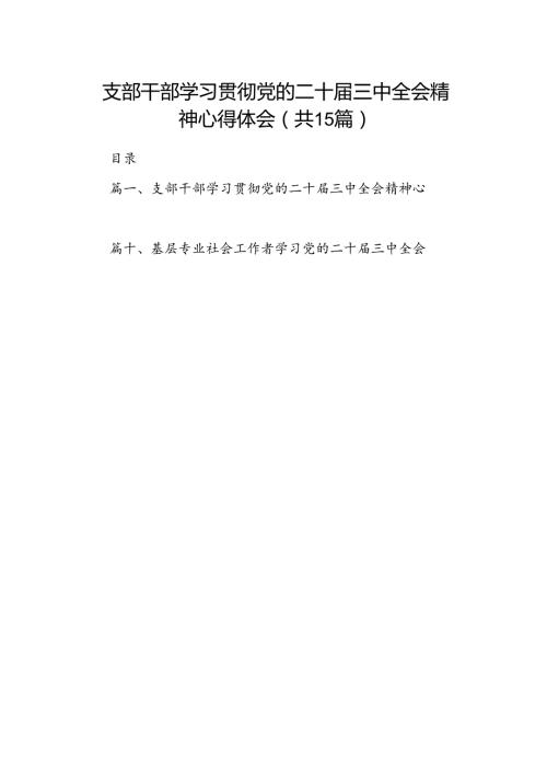 （15篇）支部干部学习贯彻党的二十三中全会精神心得体会（精选）.docx