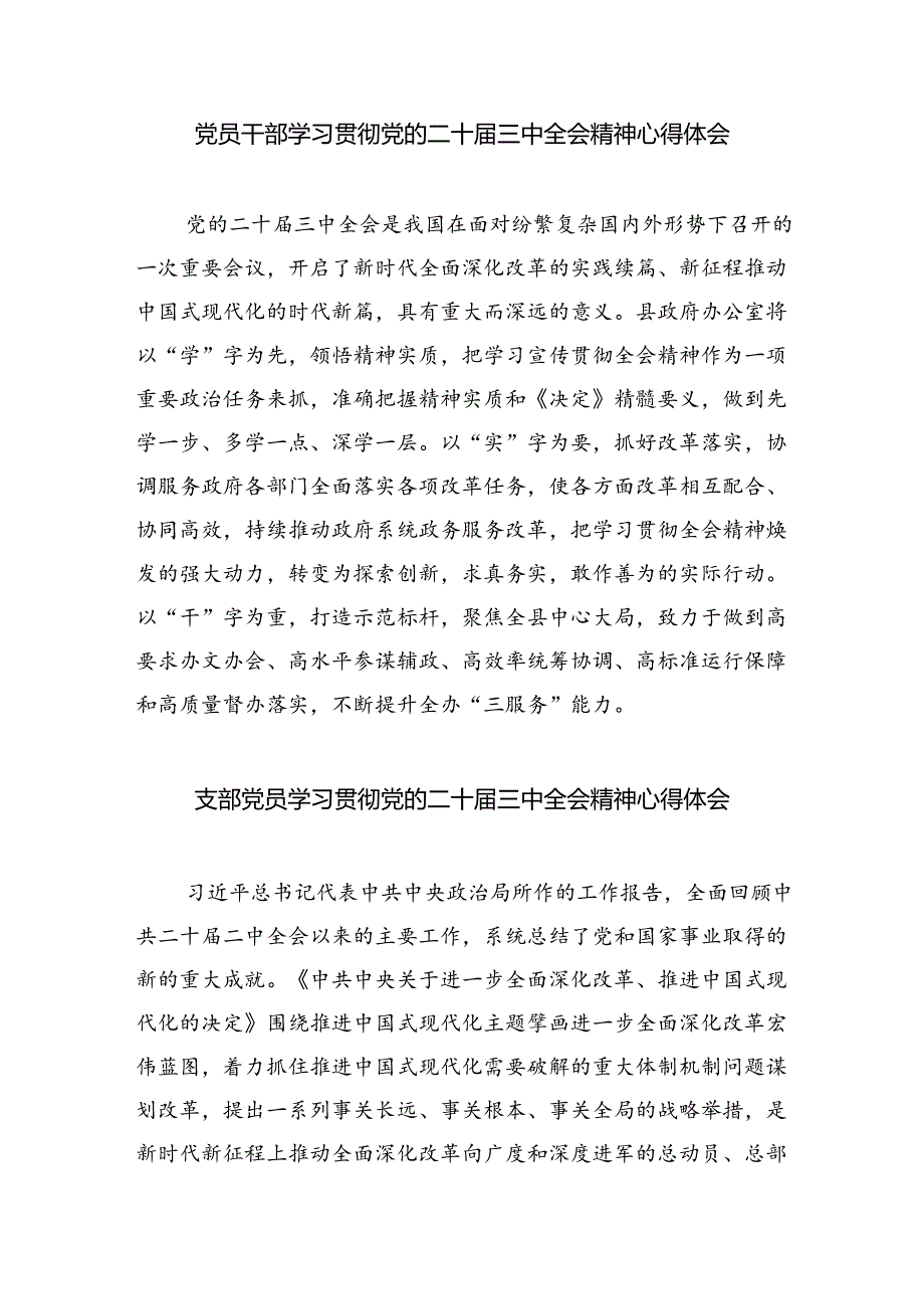 （9篇）理论学习中心组集中学习二十三中全会精神研讨发言（详细版）.docx_第3页