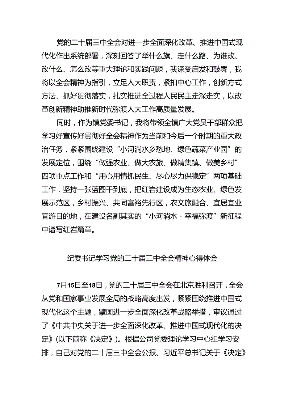 （9篇）基层纪检监察干部党的二十三中全会精神学习研讨发言材料（详细版）.docx_第2页
