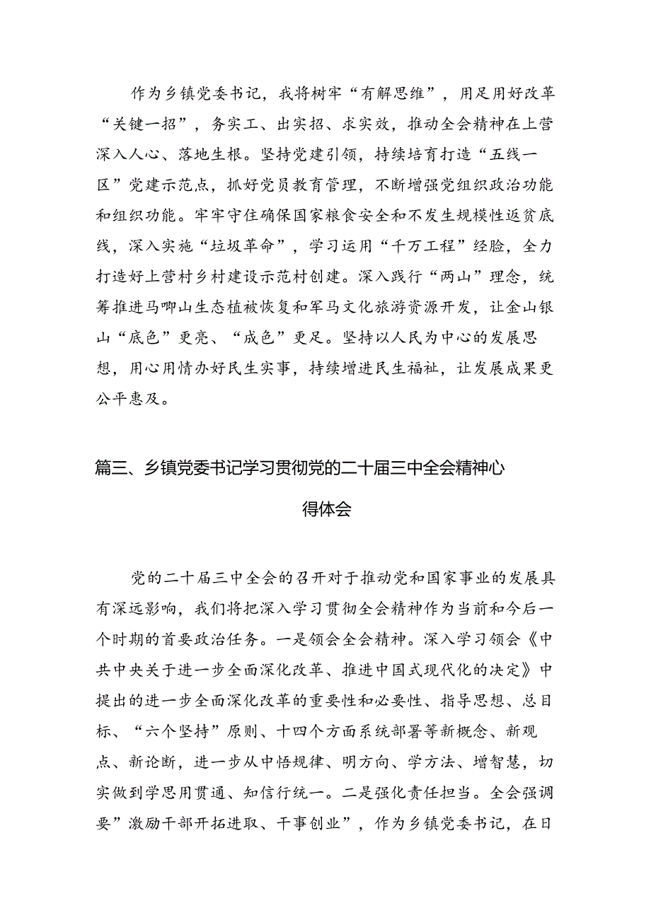 乡镇党委书记学习贯彻党的二十三中全会精神心得体会 （汇编12份）.docx_第3页