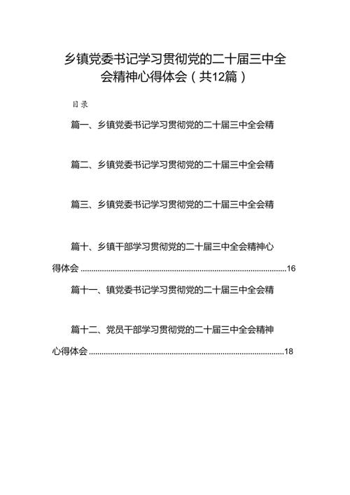 乡镇党委书记学习贯彻党的二十三中全会精神心得体会 （汇编12份）.docx