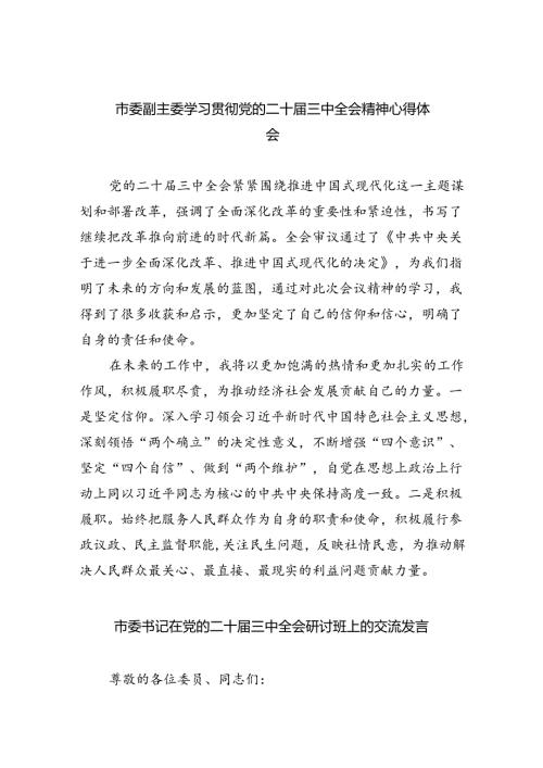 市委副主委学习贯彻党的二十三中全会精神心得体会（共四篇）.docx