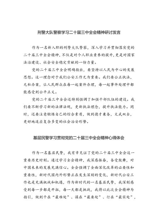 （9篇）刑警大队警察学习二十三中全会精神研讨发言（最新版）.docx