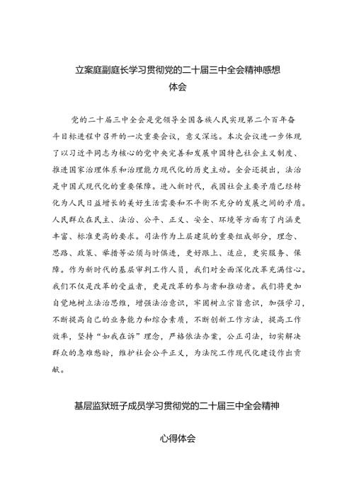 立案庭副庭长学习贯彻党的二十三中全会精神感想体会8篇（精选版）.docx