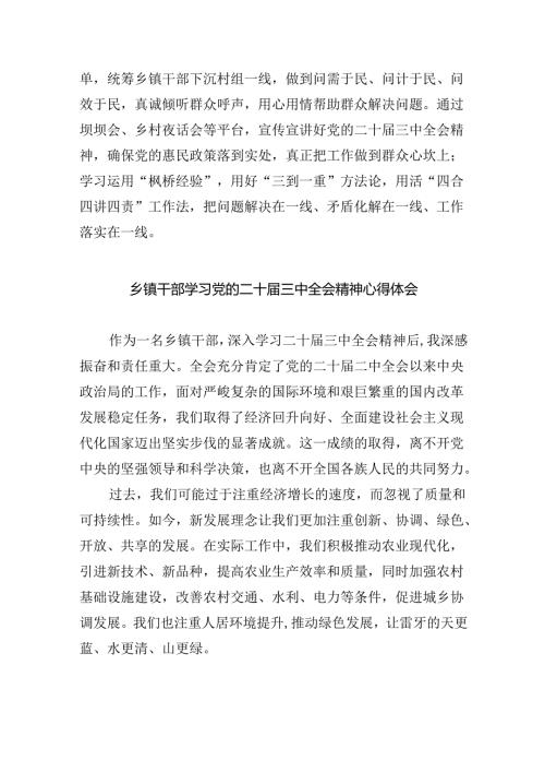 （9篇）乡镇干部学习二十三中全会精神专题研讨材料（详细版）.docx