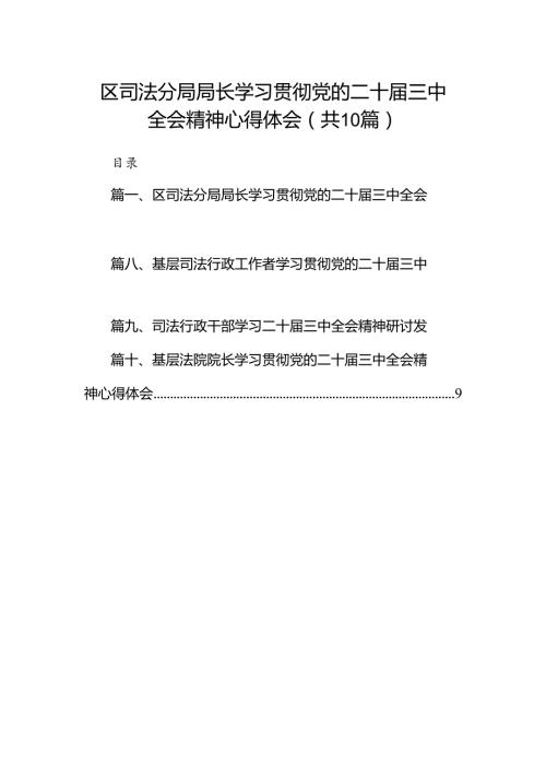 （10篇）区司法分局局长学习贯彻党的二十三中全会精神心得体会（最新版）.docx