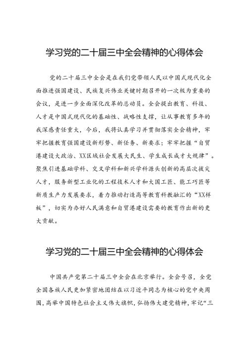 2024年二十三中全会精神学习体会范文三十篇.docx