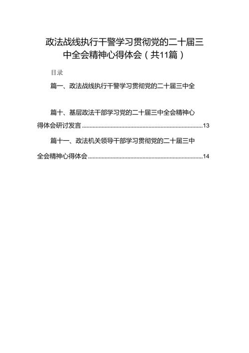 （11篇）政法战线执行干警学习贯彻党的二十三中全会精神心得体会范文.docx