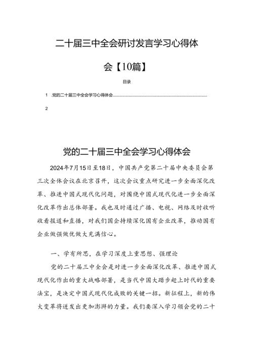 二十三中全会研讨发言学习心得体会【10篇】.docx