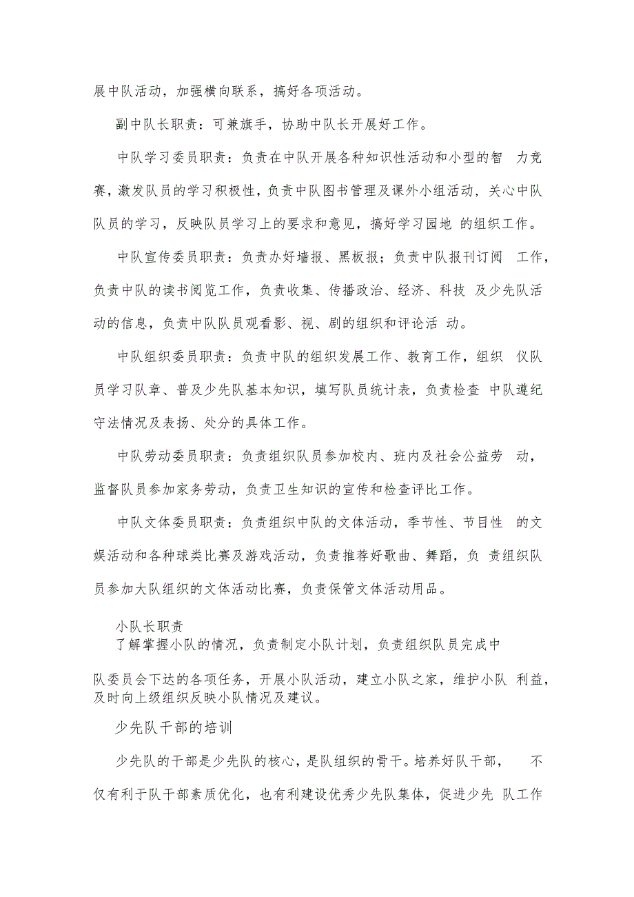 少先队工作管理制度.docx_第3页