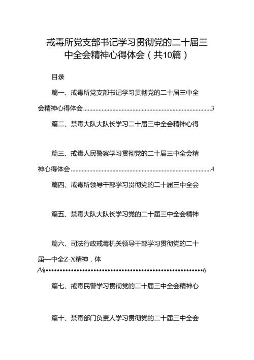 （10篇）戒毒所党支部书记学习贯彻党的二十三中全会精神心得体会范文.docx