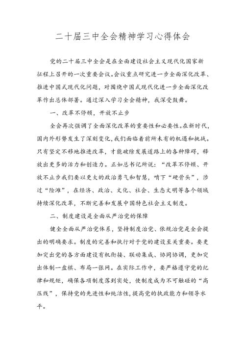 2024二十三中全会精神学习心得体会 五篇.docx