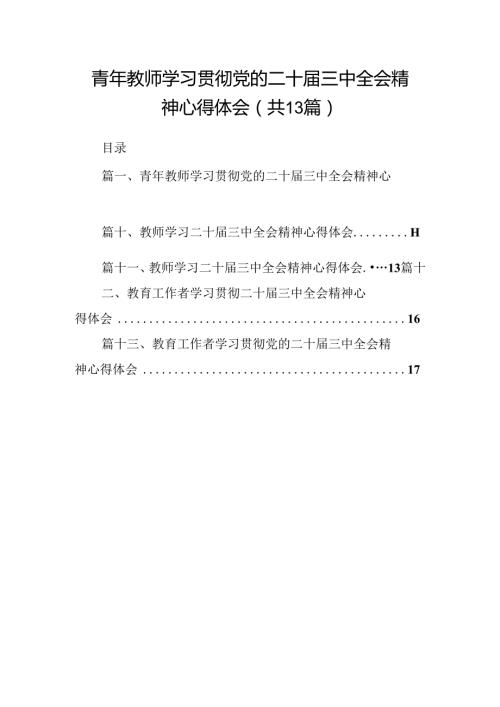 （13篇）青年教师学习贯彻党的二十三中全会精神心得体会（最新版）.docx
