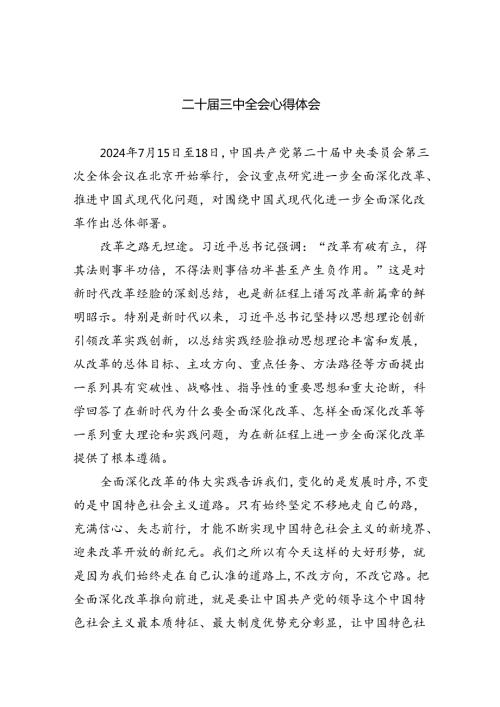 （9篇）二十三中全会心得体会专题资料.docx