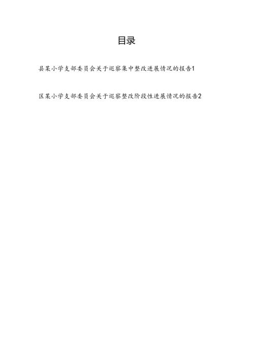某小学支委接受县委巡查组巡察关于集中整改进展情况的报告.docx