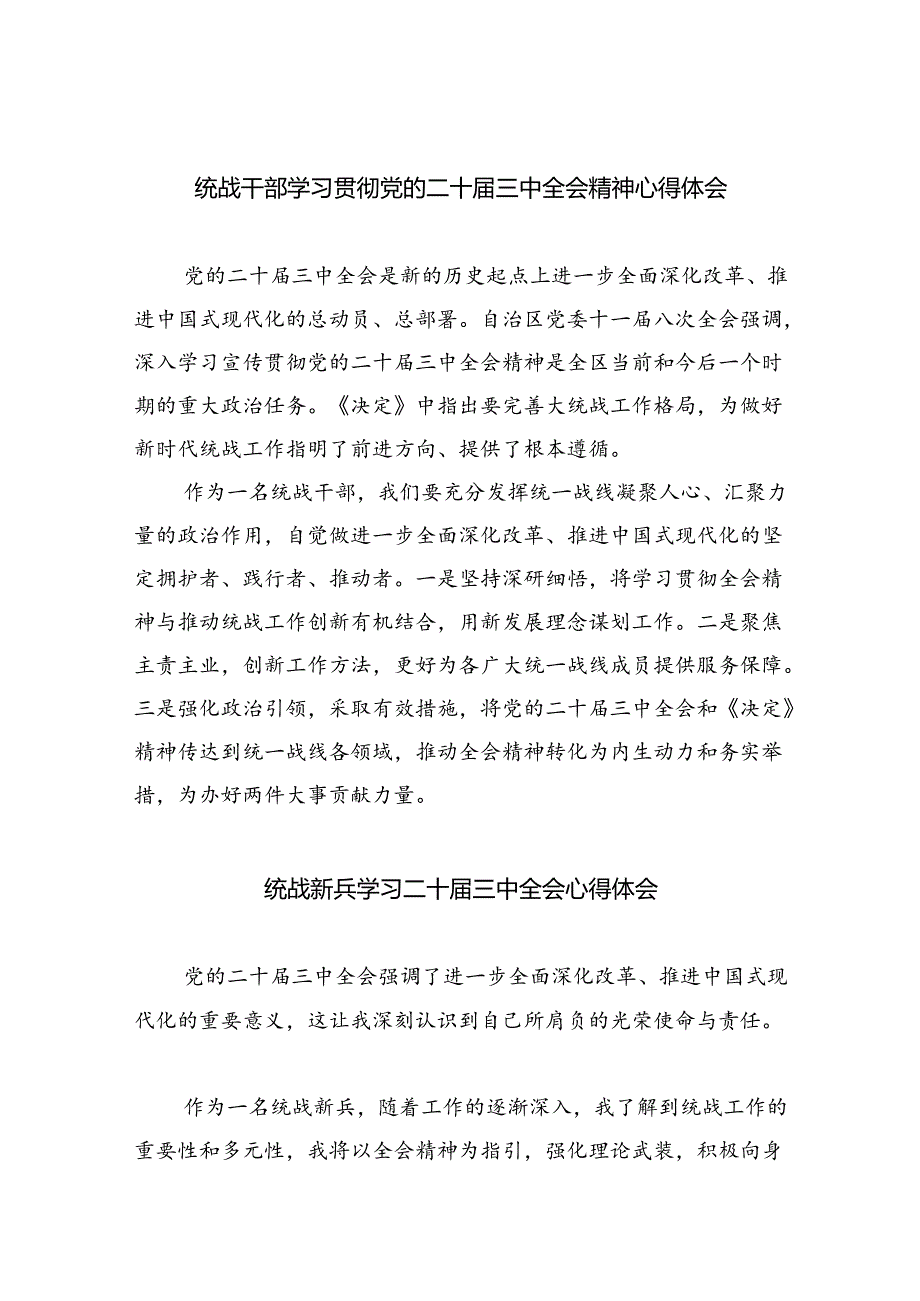 统战干部学习贯彻党的二十三中全会精神心得体会（共五篇选择）.docx_第1页