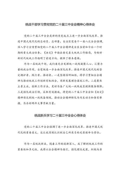 统战干部学习贯彻党的二十三中全会精神心得体会（共五篇选择）.docx