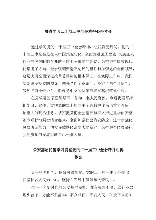 （11篇）警察学习二十三中全会精神心得体会范文.docx