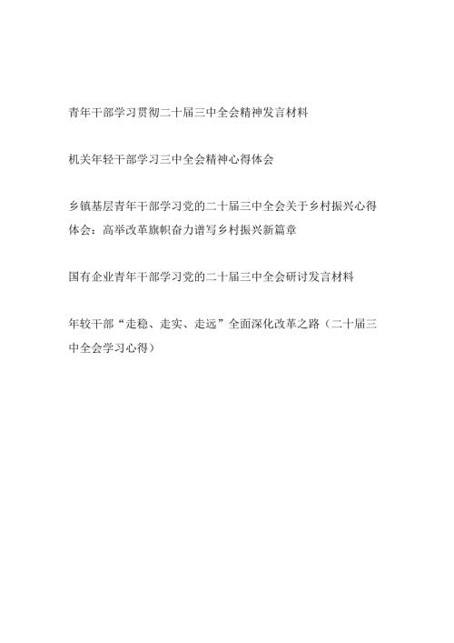 5篇年轻干部学习贯彻二十三中全会精神研讨发言.docx