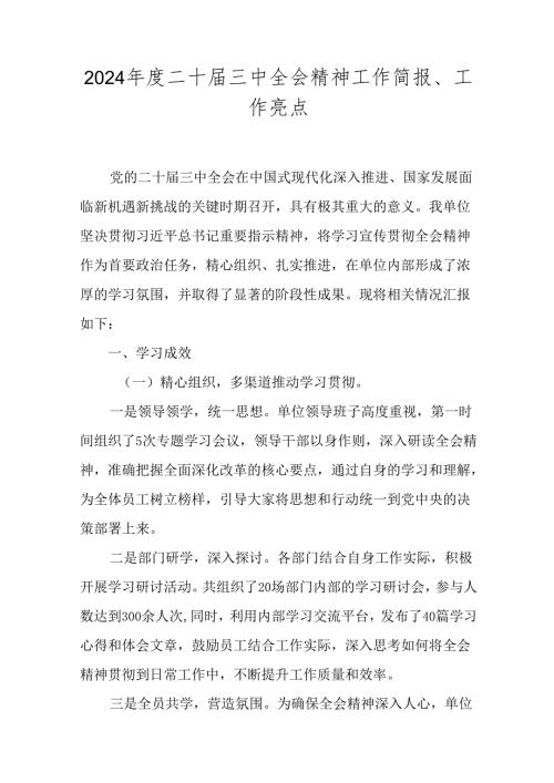 2024二十三中全会精神工作简报、工作亮点.docx