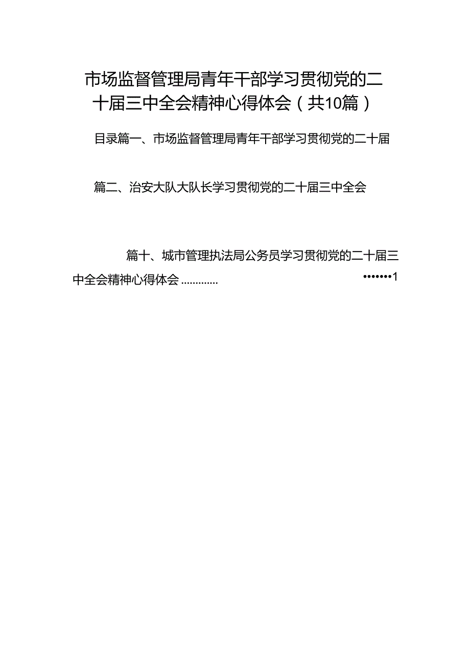 （10篇）市场监督管理局青年干部学习贯彻党的二十三中全会精神心得体会范文.docx_第1页