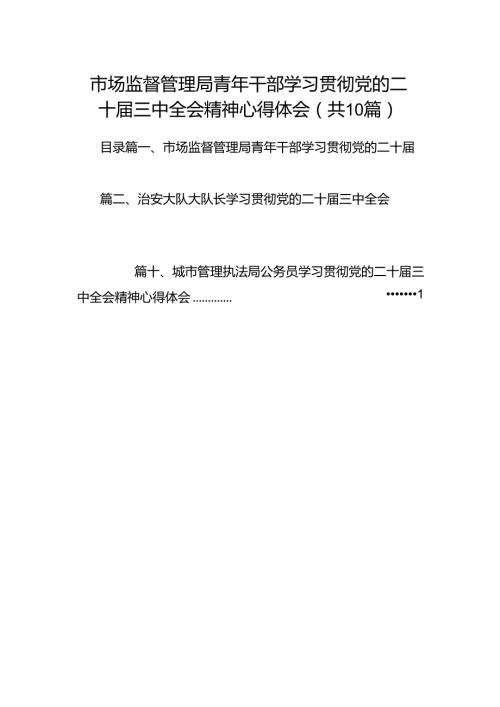（10篇）市场监督管理局青年干部学习贯彻党的二十三中全会精神心得体会范文.docx