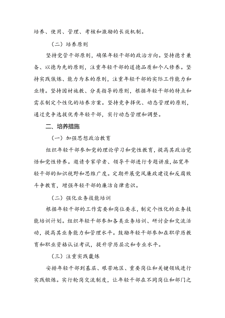 2024年市年轻干部培养计划的实施方案.docx_第2页