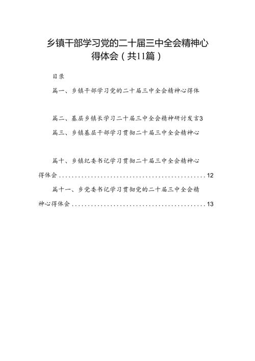 （11篇）乡镇干部学习党的二十三中全会精神心得体会（精选）.docx
