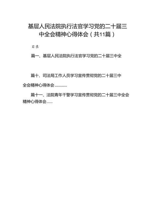 （11篇）基层人民法院执行法官学习党的二十三中全会精神心得体会（详细版）.docx