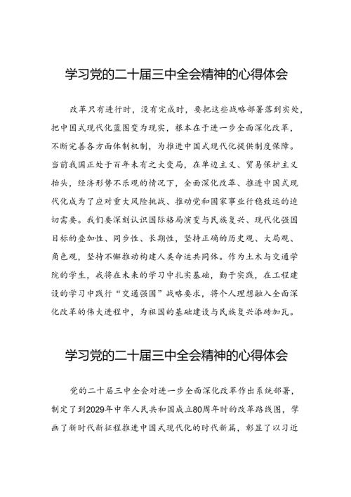 党员干部学习贯彻党的二十三中全会精神心得体会合辑四十篇.docx