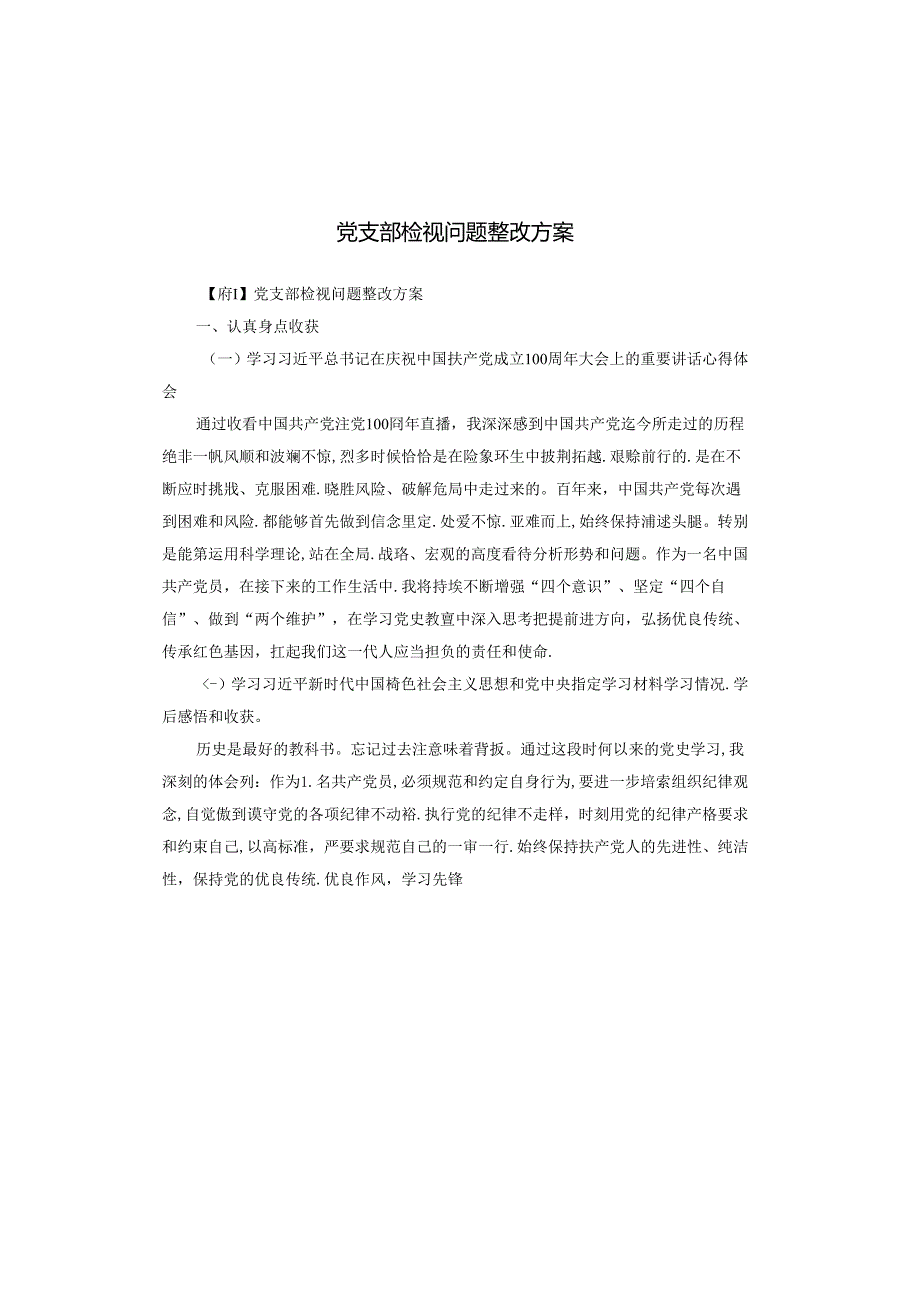 党支部检视问题整改方案.docx_第1页