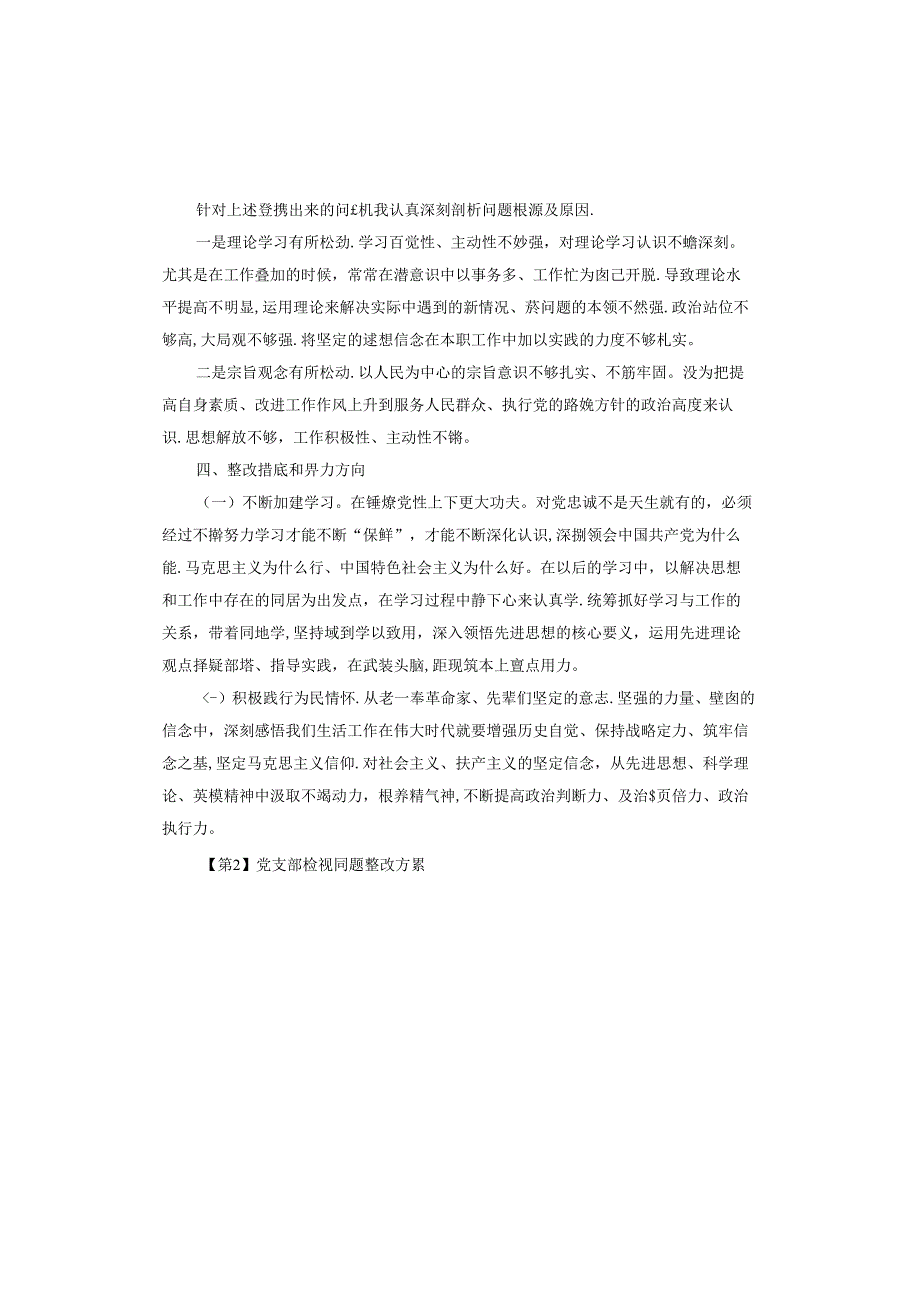 党支部检视问题整改方案.docx_第3页
