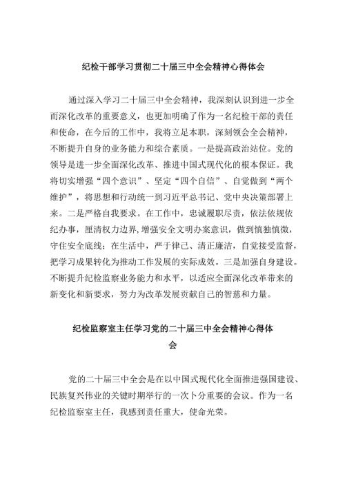 纪检干部学习贯彻二十三中全会精神心得体会 （汇编5份）.docx