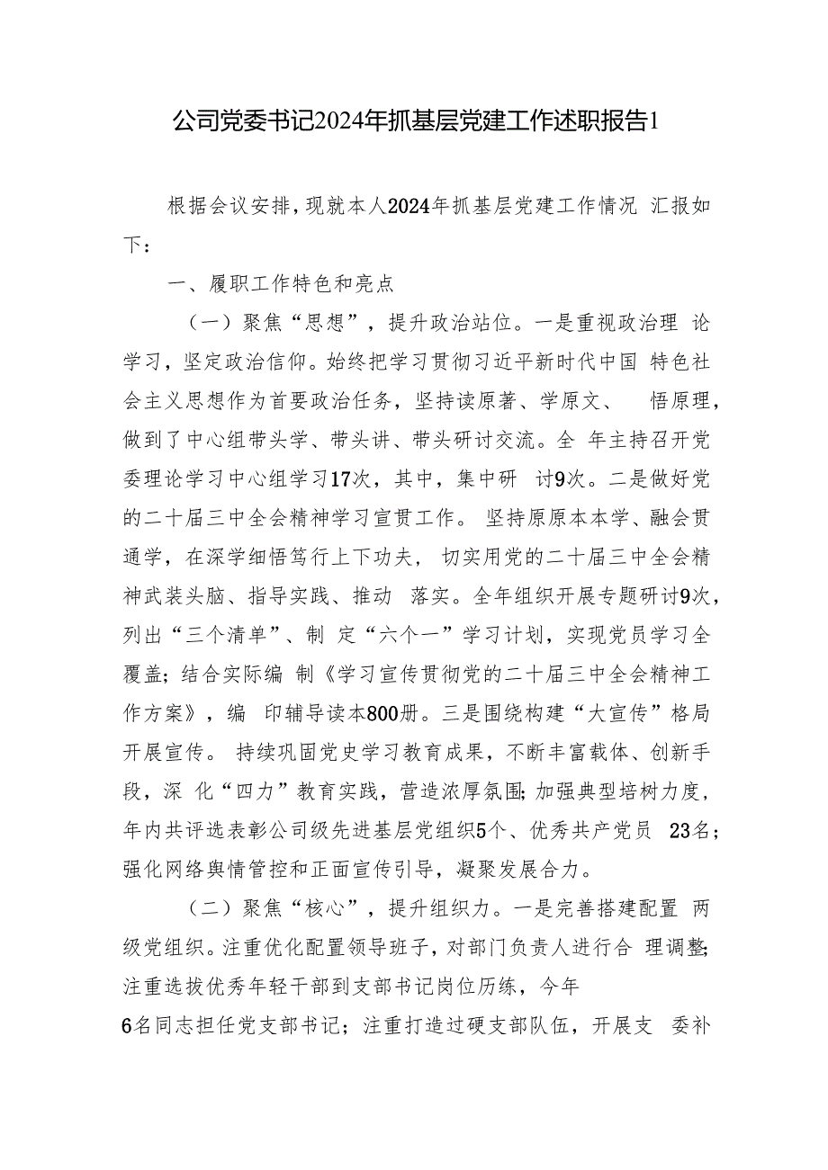 国企公司党委书记2024关于抓基层党建工作的述职报告2篇.docx_第2页