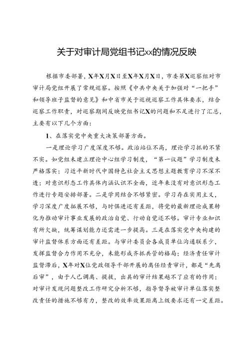 关于巡察审计局党组书记的情况反映.docx