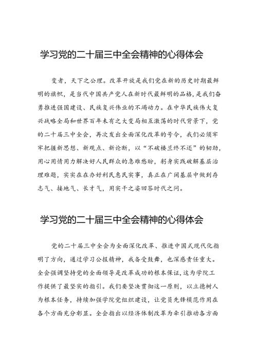 2024年党员干部关于二十三中全会精神心得体会四十四篇.docx