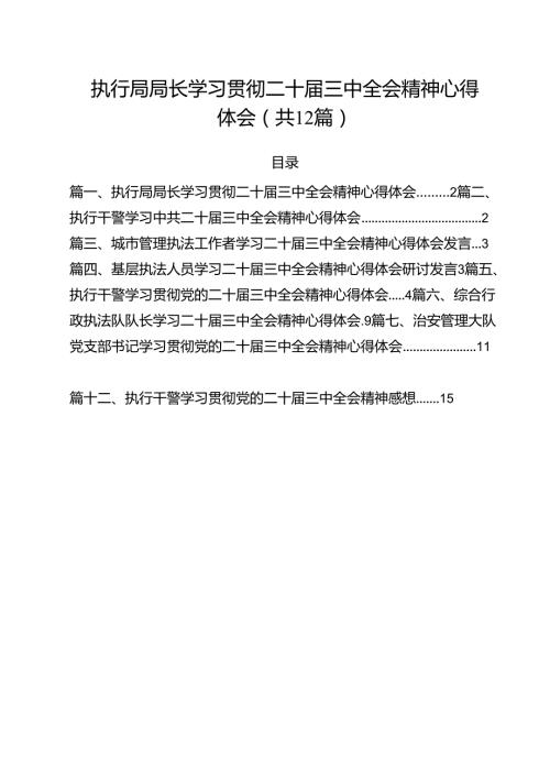 执行局局长学习贯彻二十三中全会精神心得体会12篇（精选）.docx