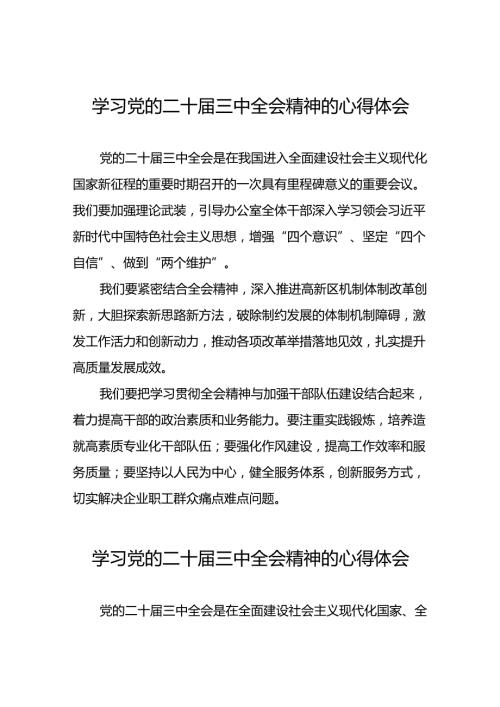 2024年二十三中全会精神的心得体会汇编31篇.docx