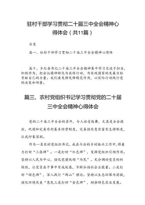 （11篇）驻村干部学习贯彻二十三中全会精神心得体会（详细版）.docx