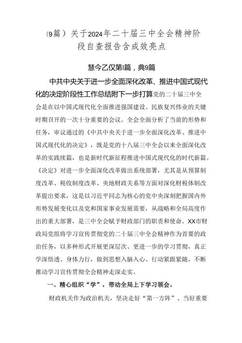 （9篇）关于2024年二十三中全会精神阶段自查报告含成效亮点.docx