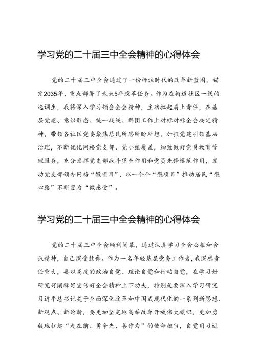 2024年党的二十三中全会精神学习感悟简短发言四十四篇.docx