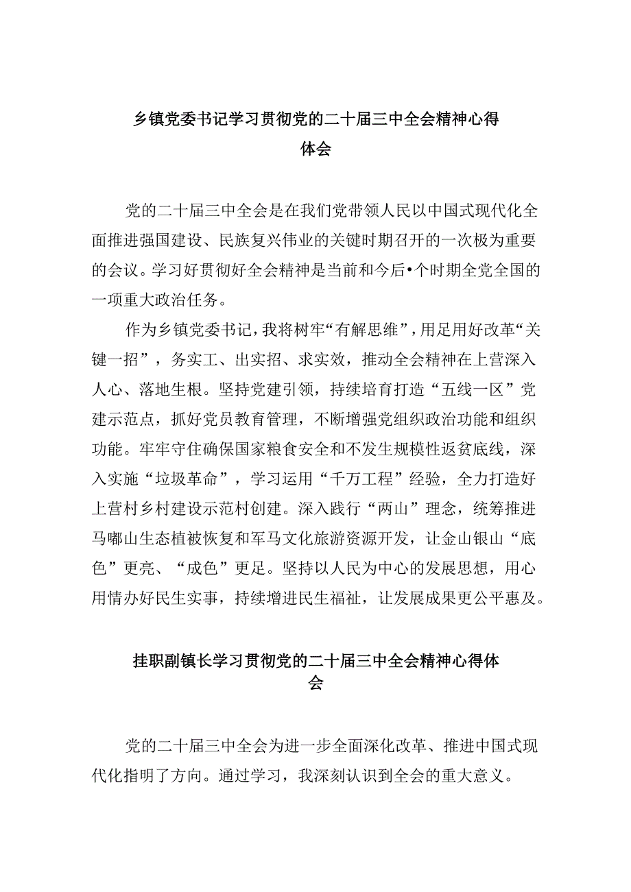 乡镇党委书记学习贯彻党的二十三中全会精神心得体会样例8篇（精选）.docx_第1页