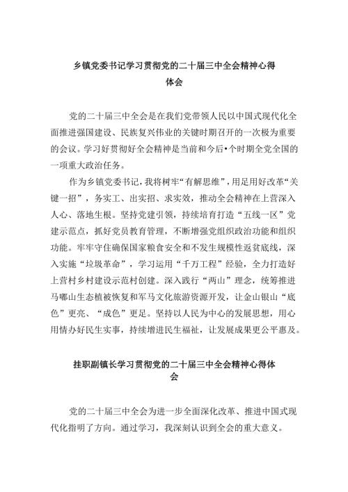 乡镇党委书记学习贯彻党的二十三中全会精神心得体会样例8篇（精选）.docx