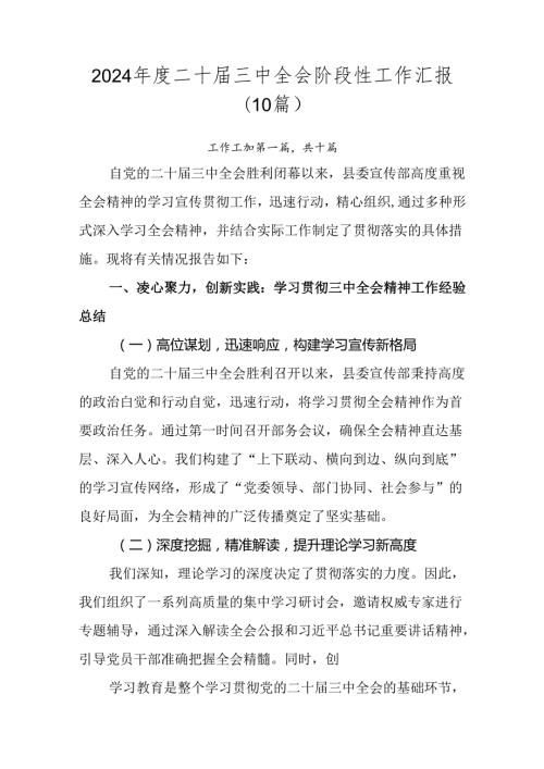 2024二十三中全会阶段性工作汇报（10篇）.docx